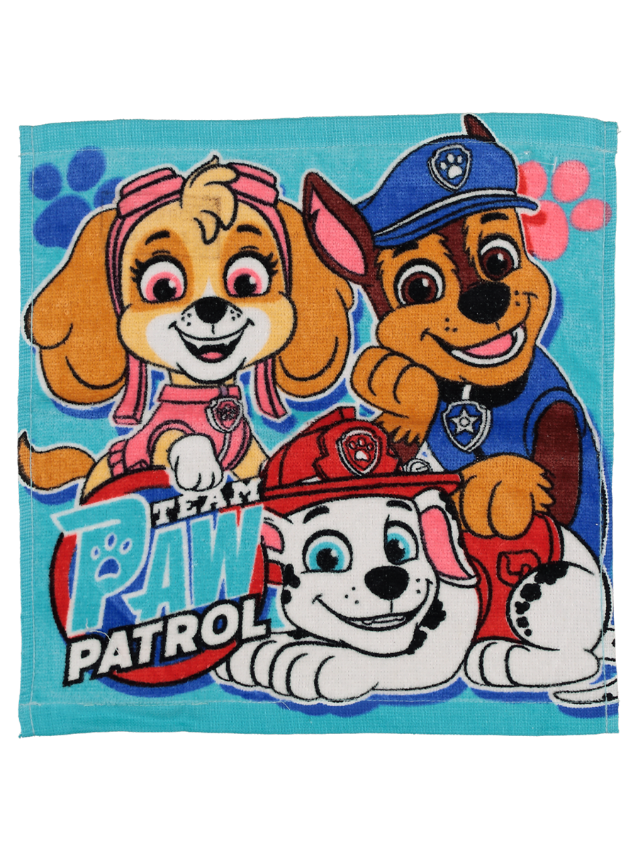 Face Cloth Paw Patrol