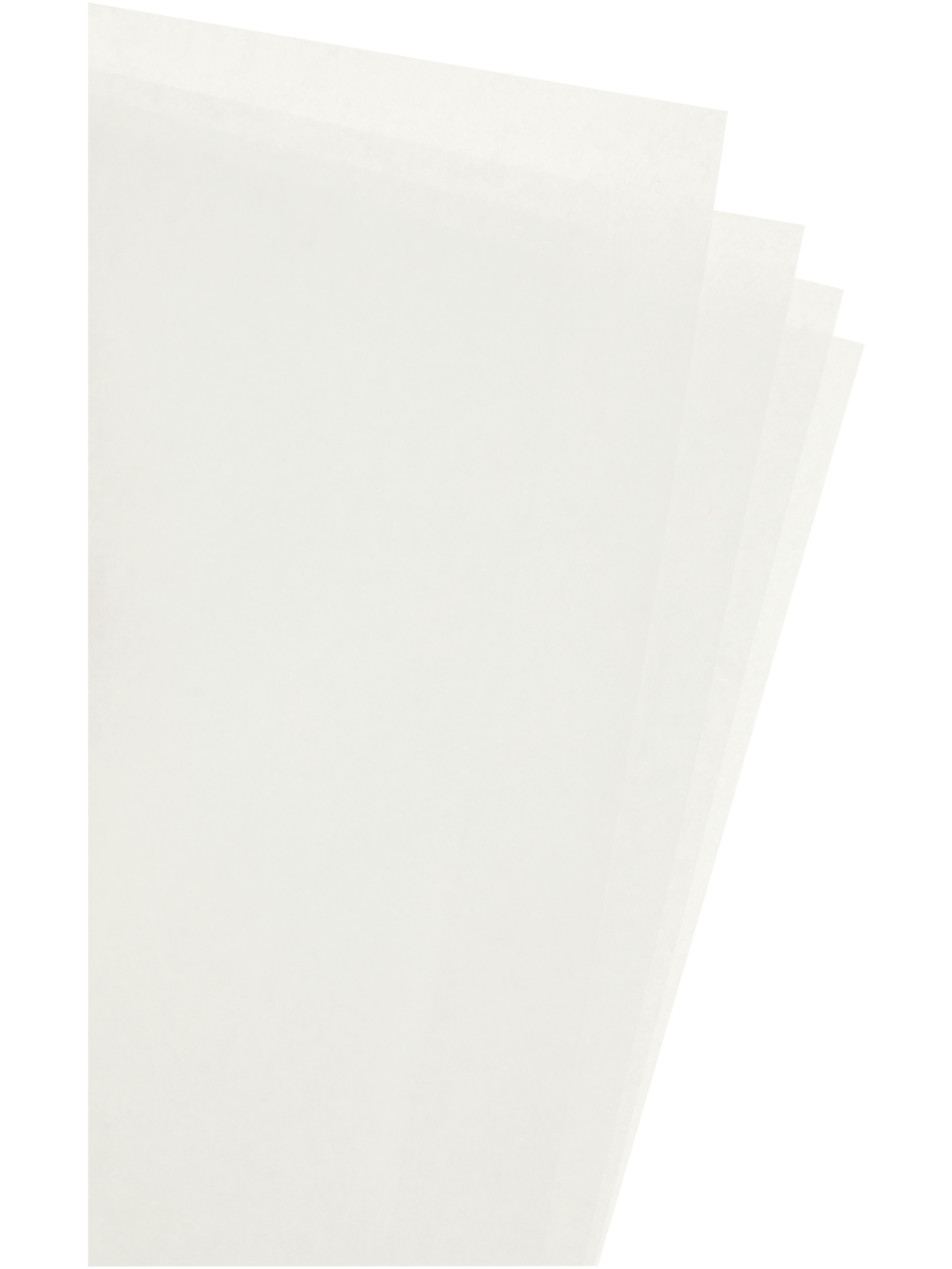 Tissue Gift Wrap Sheets (5)