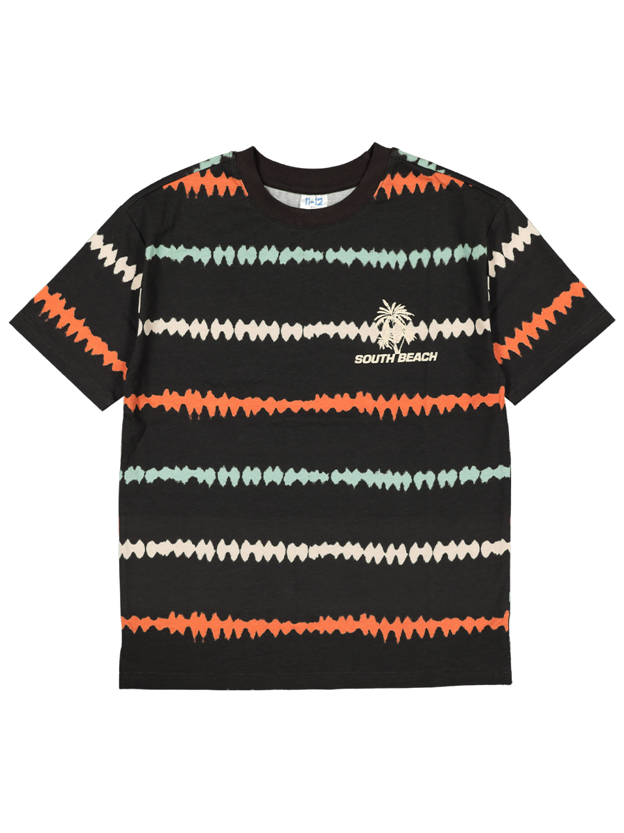 Graphic Stripe T-Shirt