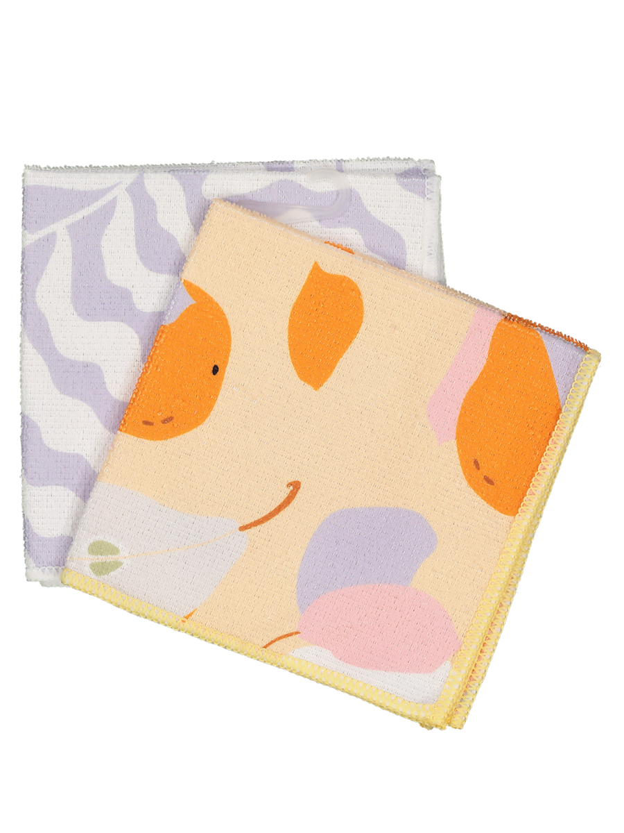 Dish Cloths 2 Pack