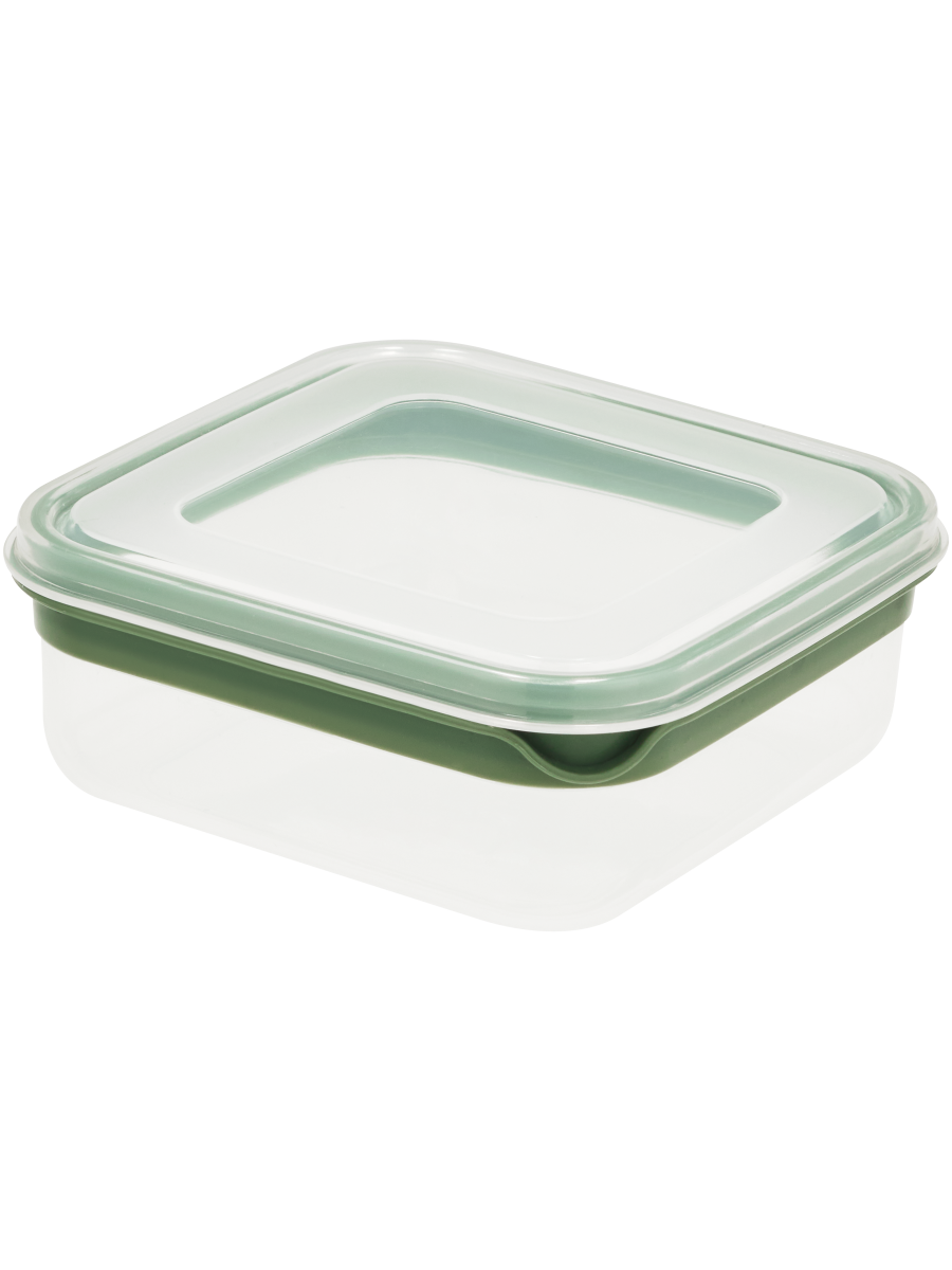 Green Stripe Square Container