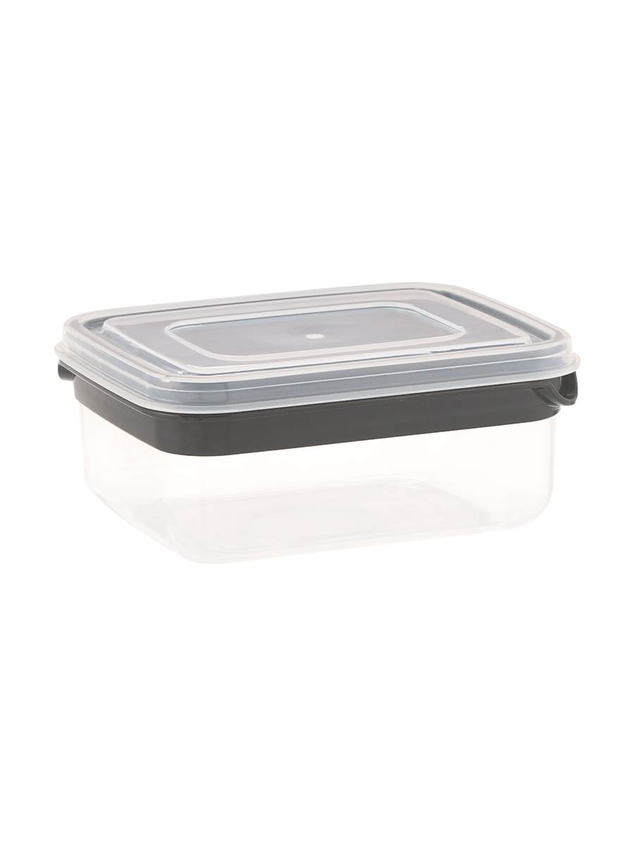 Medium Plastic Container