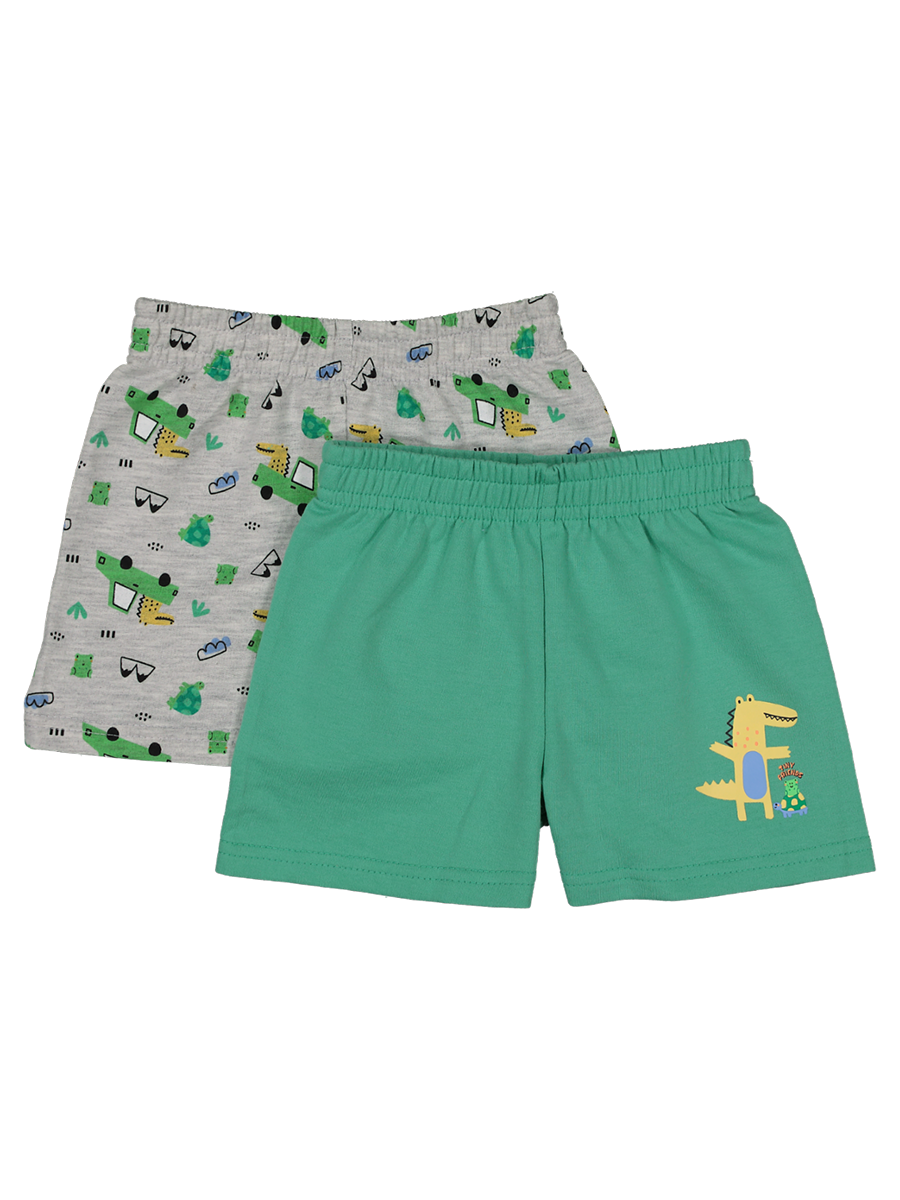 Graphic Shorts 2 Pack