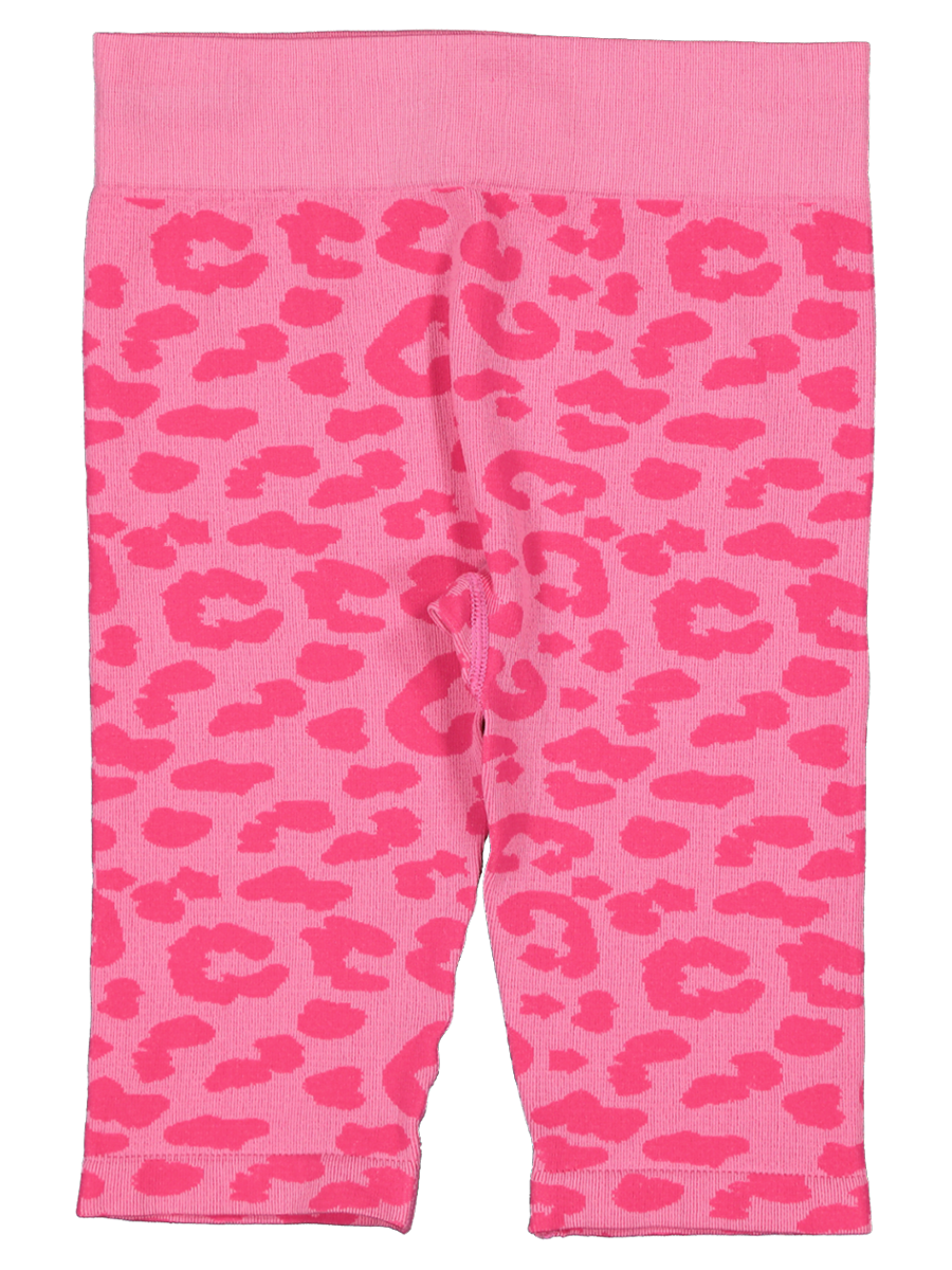 Seamless Leggings