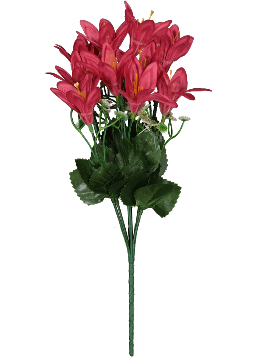 Rain Lily Flower Bunch