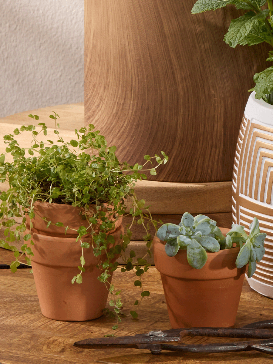 Mini Terracotta Pots
