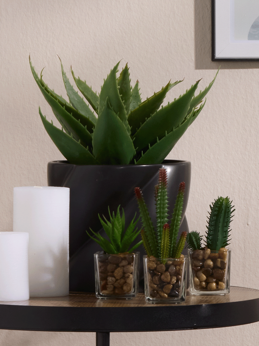 Black Twist Flower Pot