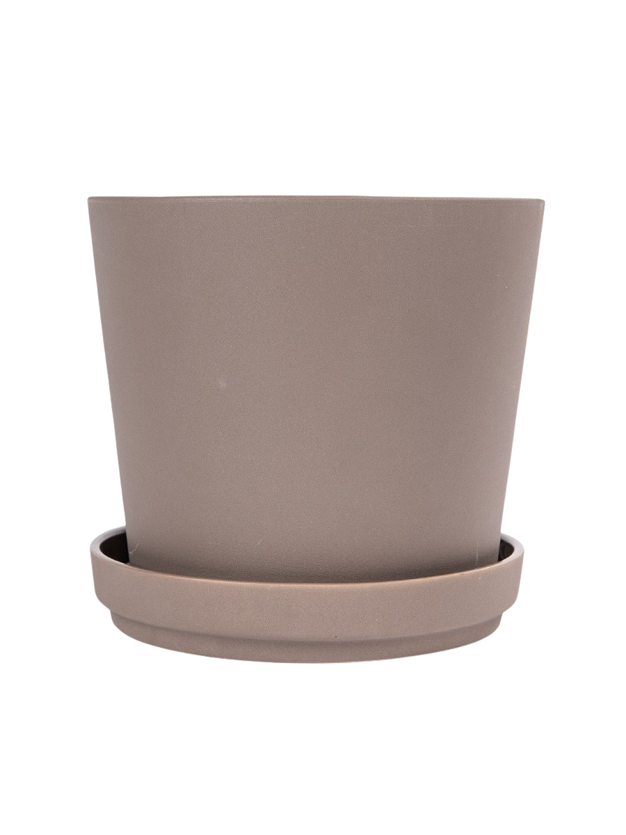Pot Plant With Tray