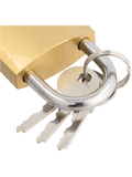 Pad Lock (1)
