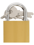 PADLOCK 50MM