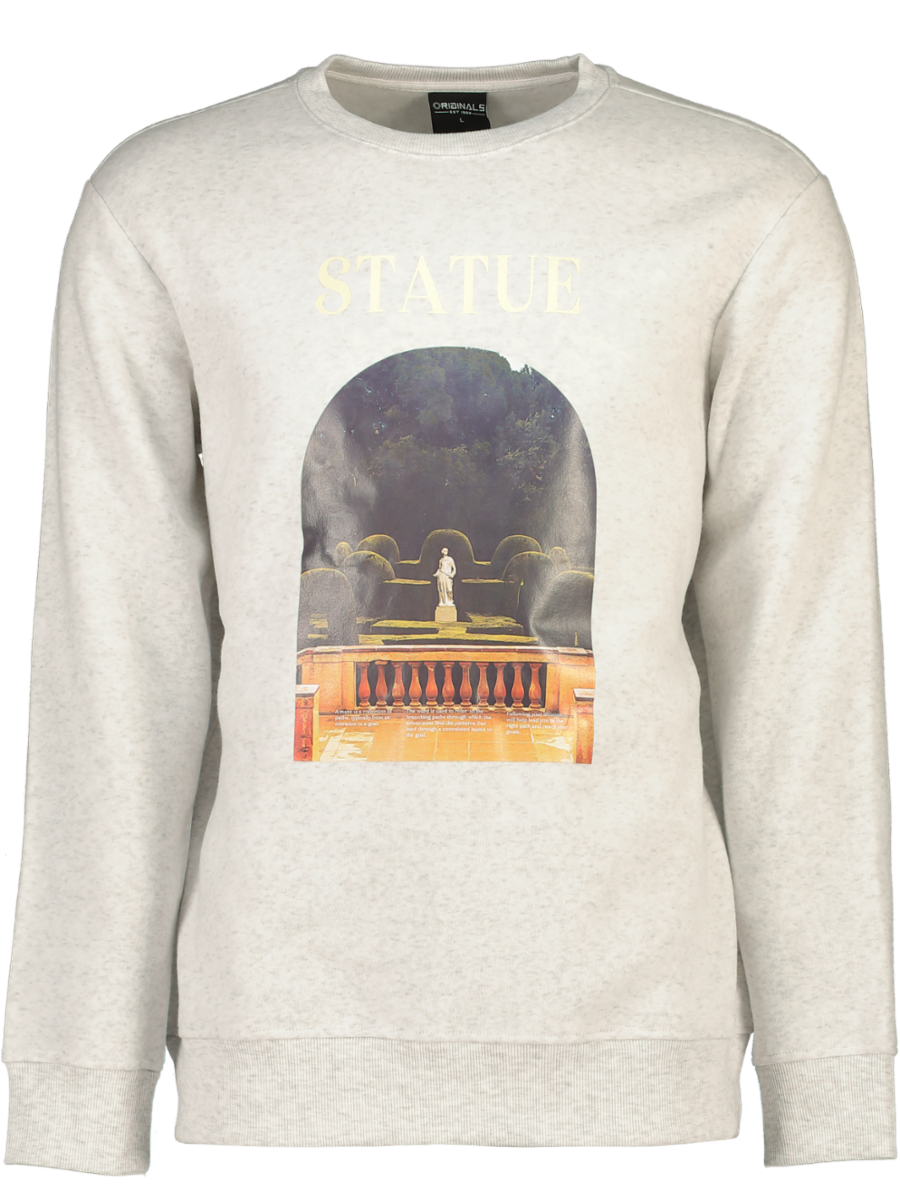 Printed Crew Neck Sweater