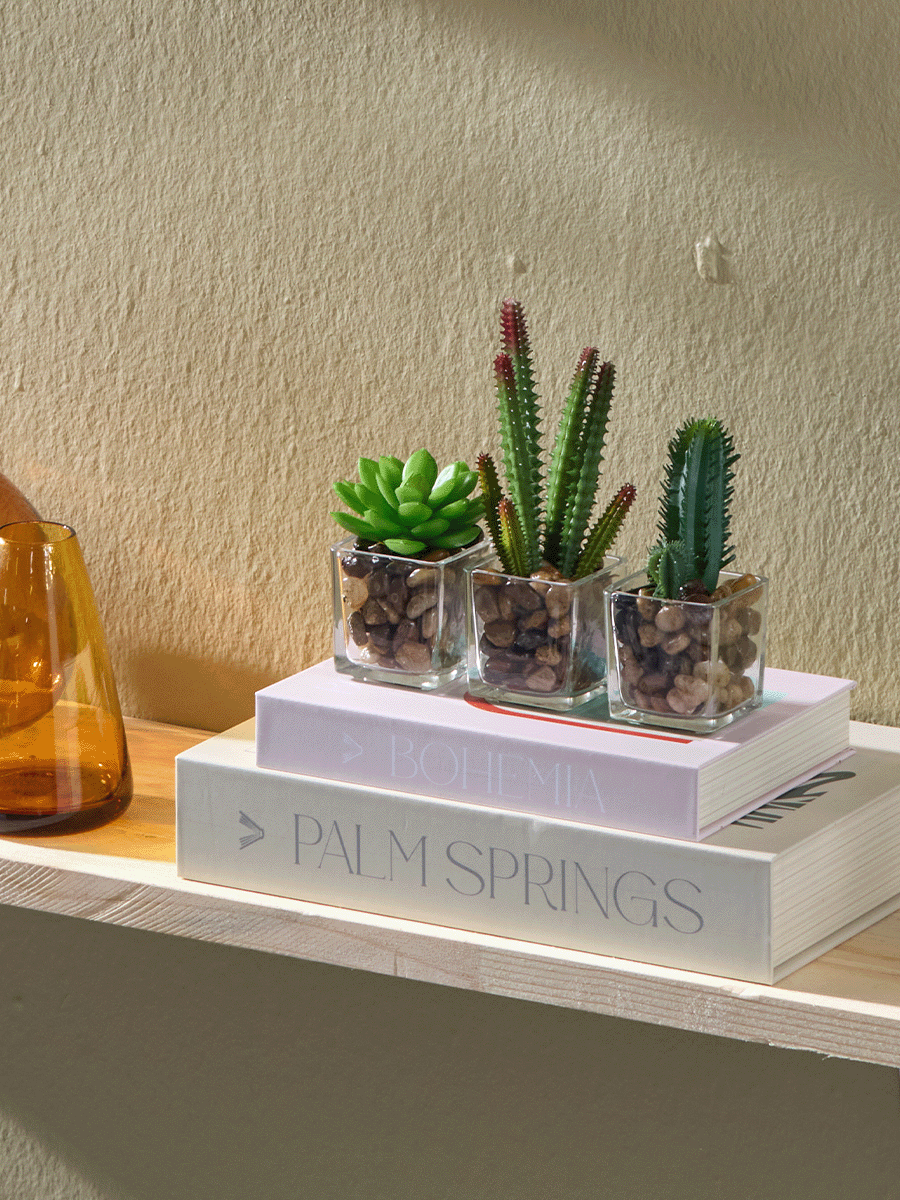 Succulent In Glass Pot