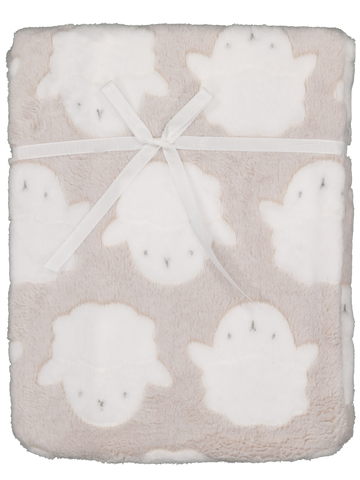 Coral Fleece Blanket