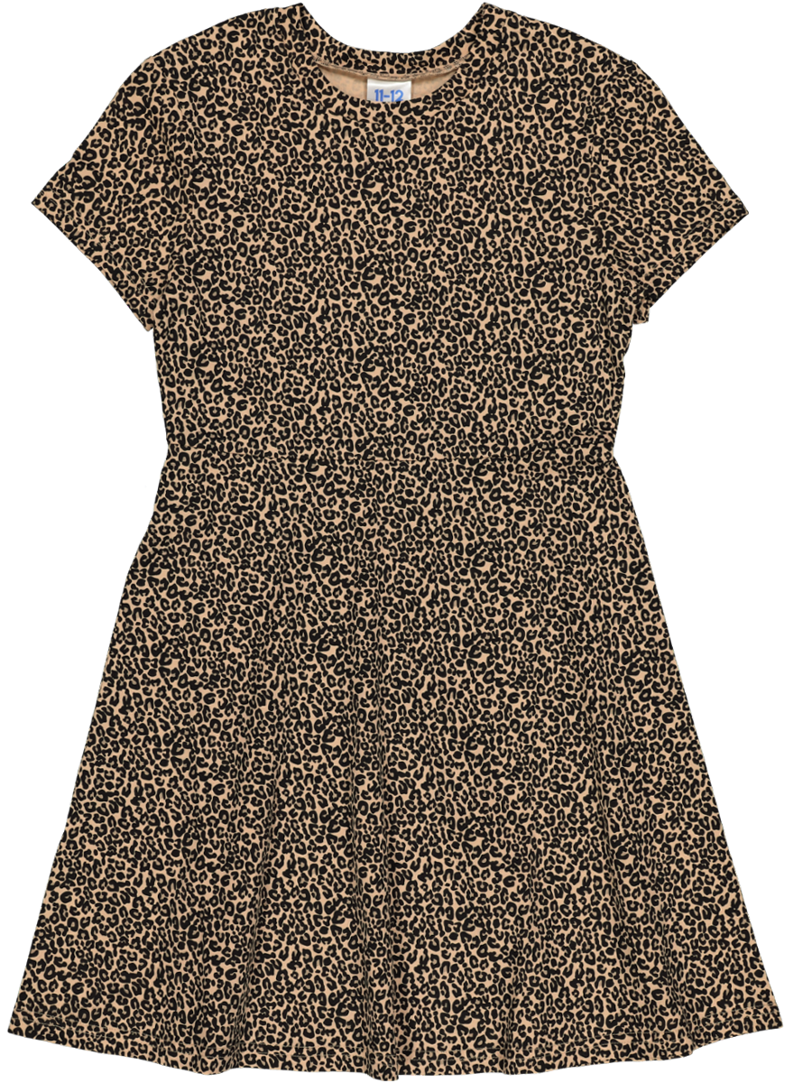 Leopard Print Dress