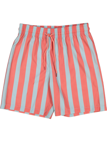 Stripe Lightweight Shorts