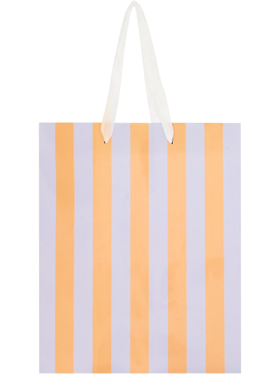 Gift Bag (2)