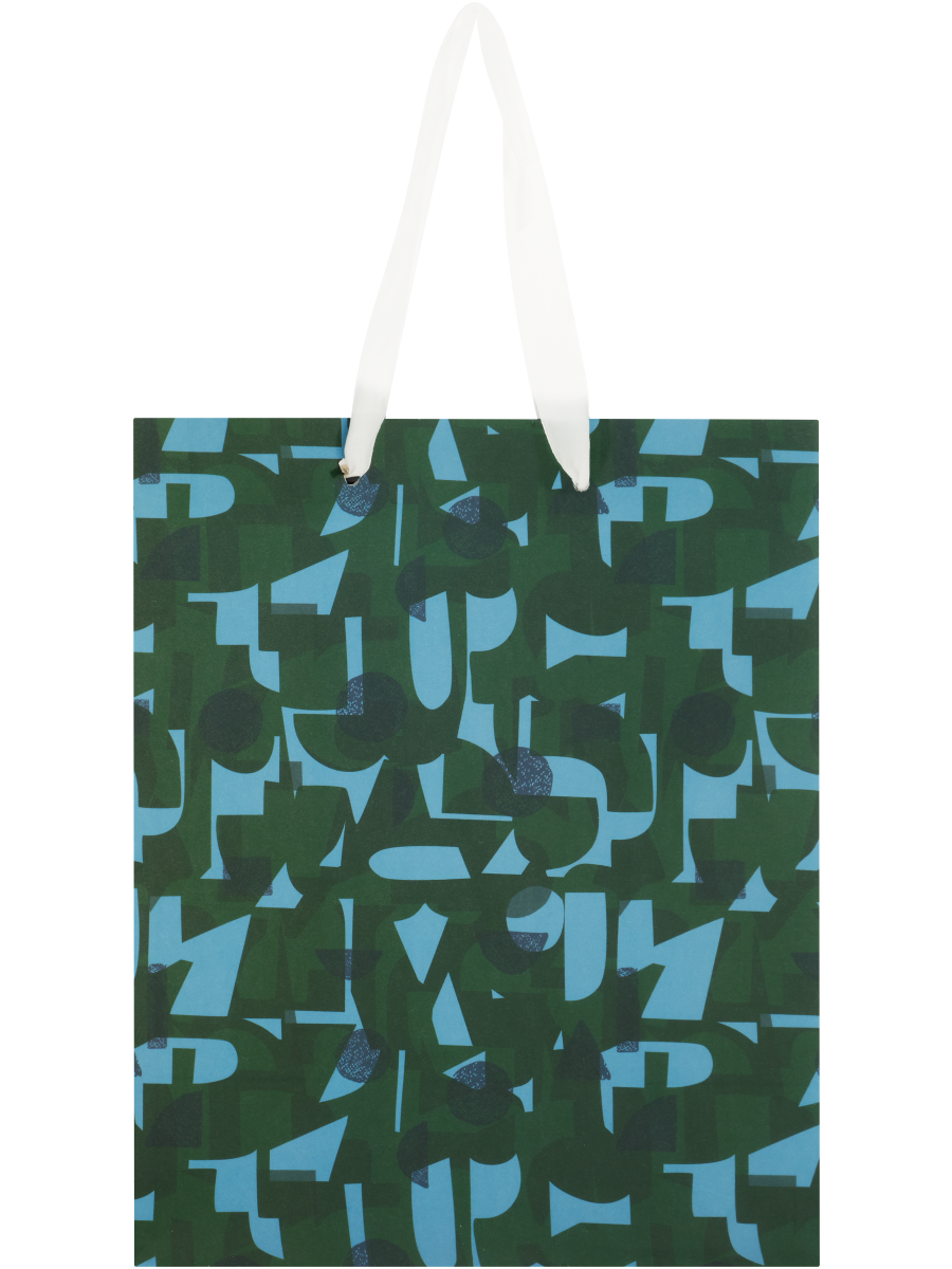 Gift Bag (Design/Colour may vary)