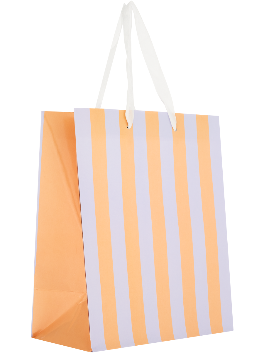Gift Bag (5)