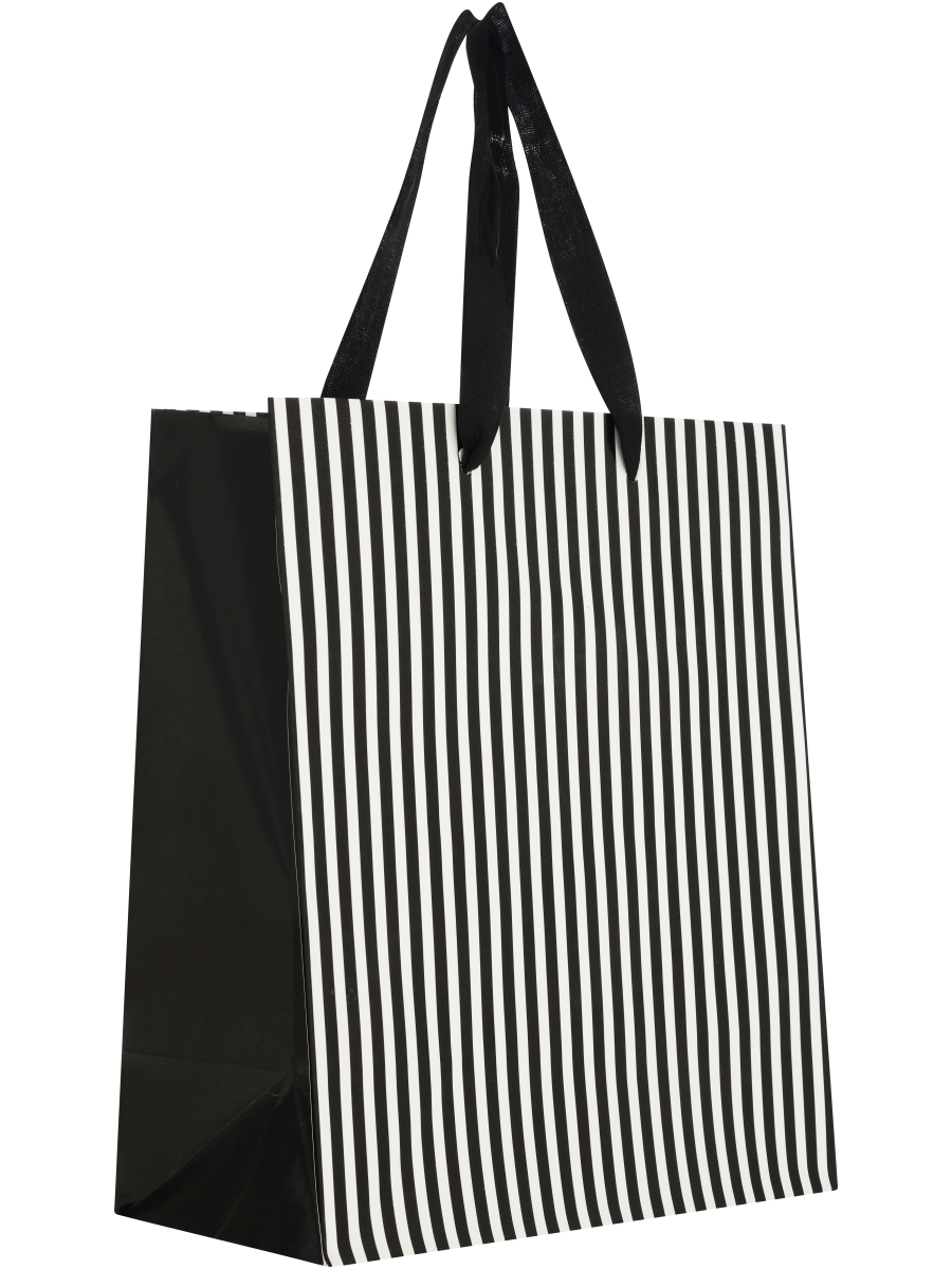 Gift Bag (3)