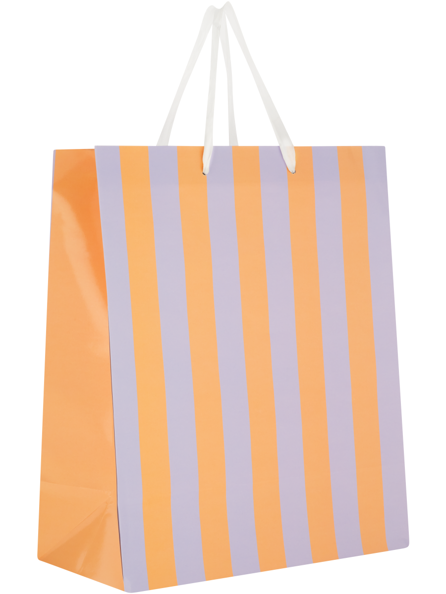 Gift Bag (4)