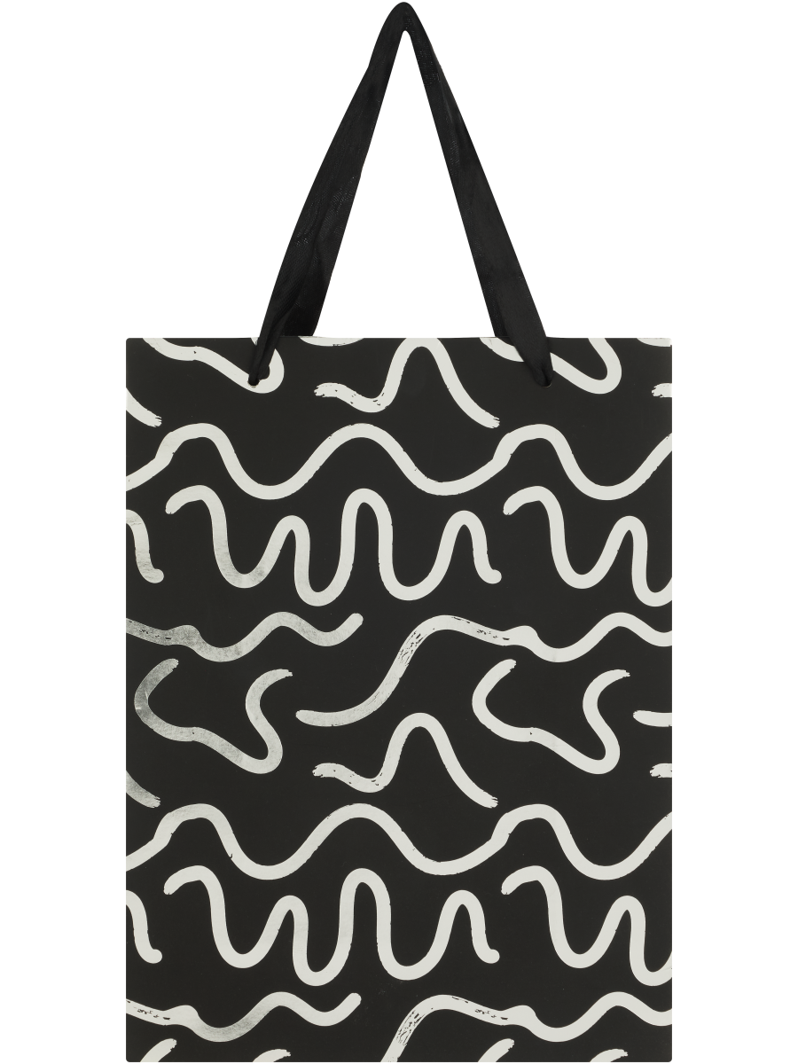Geometric Or Squiggle Gift Bag (Design/Colour may vary)