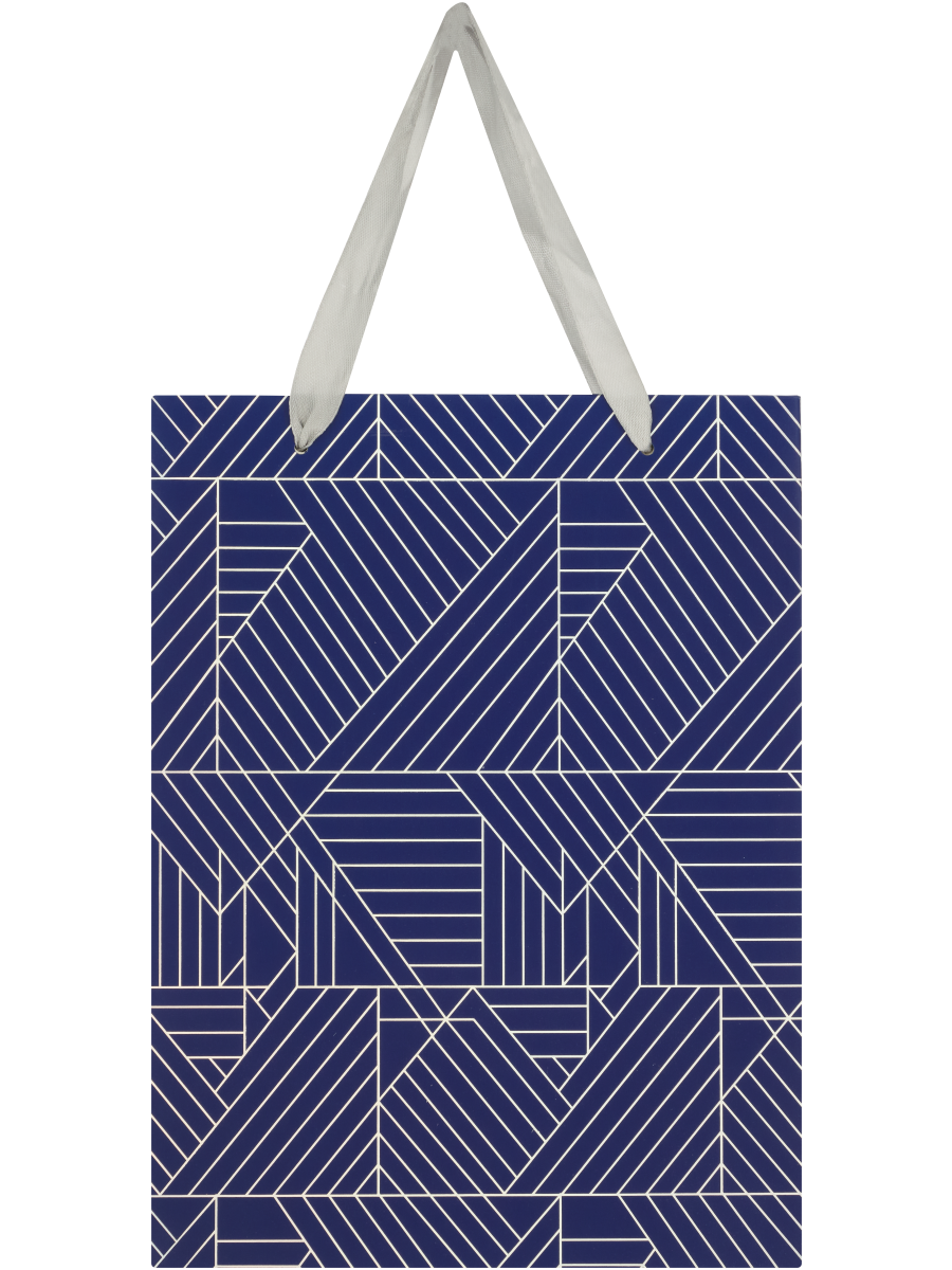 Geometric Or Squiggle Gift Bag (Design/Colour may vary)
