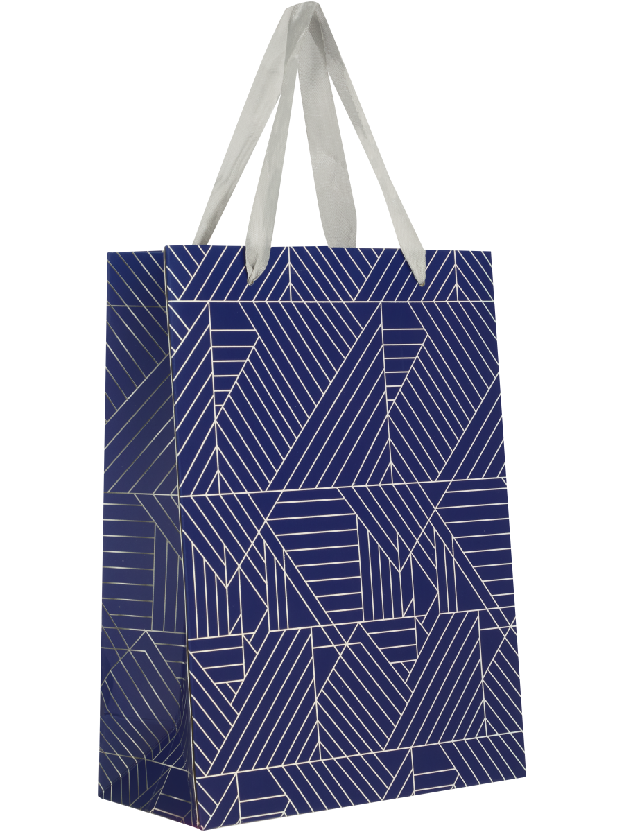 Geometric Or Squiggle Gift Bag (5)