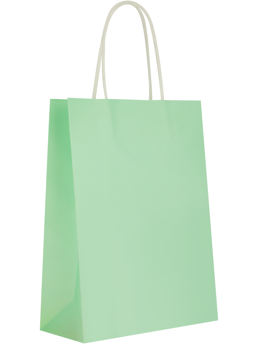 Assorted Solid Colour Paper Gift Bags (Design/Colour may vary) (2)