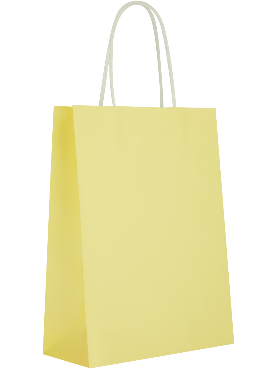 Assorted Solid Colour Paper Gift Bags (10)