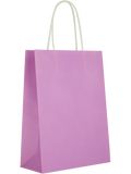 Assorted Solid Colour Paper Gift Bags (Design/Colour may vary) (8)