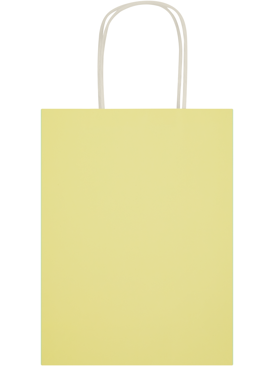 Assorted Solid Colour Paper Gift Bags (Design/Colour may vary) (13)