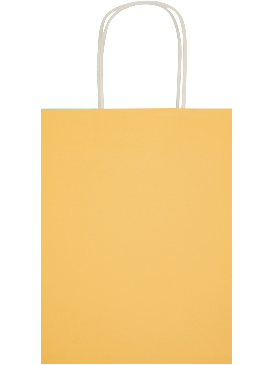 Assorted Solid Colour Paper Gift Bags (Design/Colour may vary) (12)