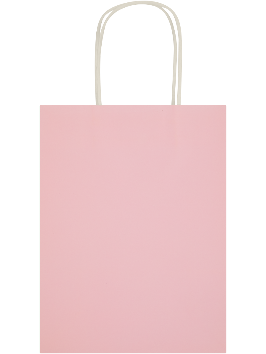 Assorted Solid Colour Paper Gift Bags (Design/Colour may vary) (11)