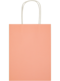 Assorted Solid Colour Paper Gift Bags (Design/Colour may vary) (10)