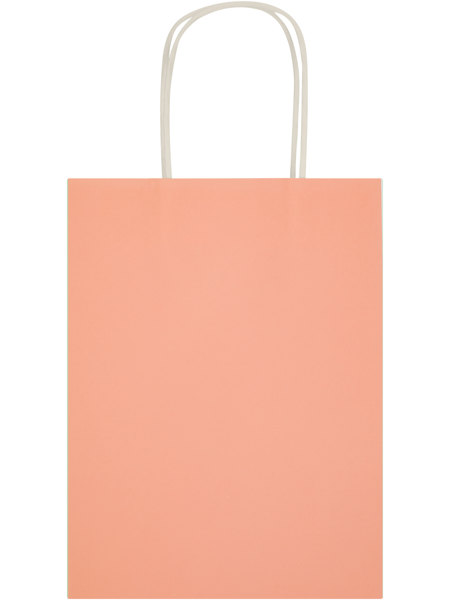 Assorted Solid Colour Paper Gift Bags (Design/Colour may vary) (10)