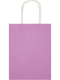 Assorted Solid Colour Paper Gift Bags (Design/Colour may vary) (9)
