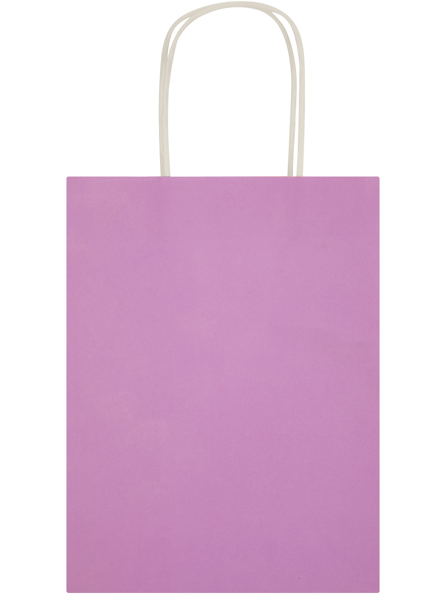 Assorted Solid Colour Paper Gift Bags (Design/Colour may vary) (9)
