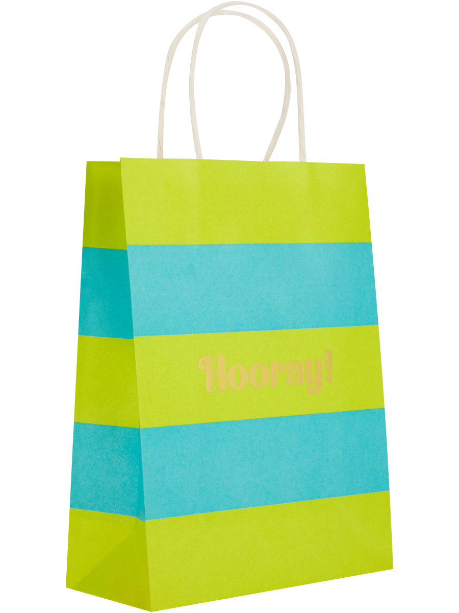 Assorted Hooray Paper Gift Bags (4)