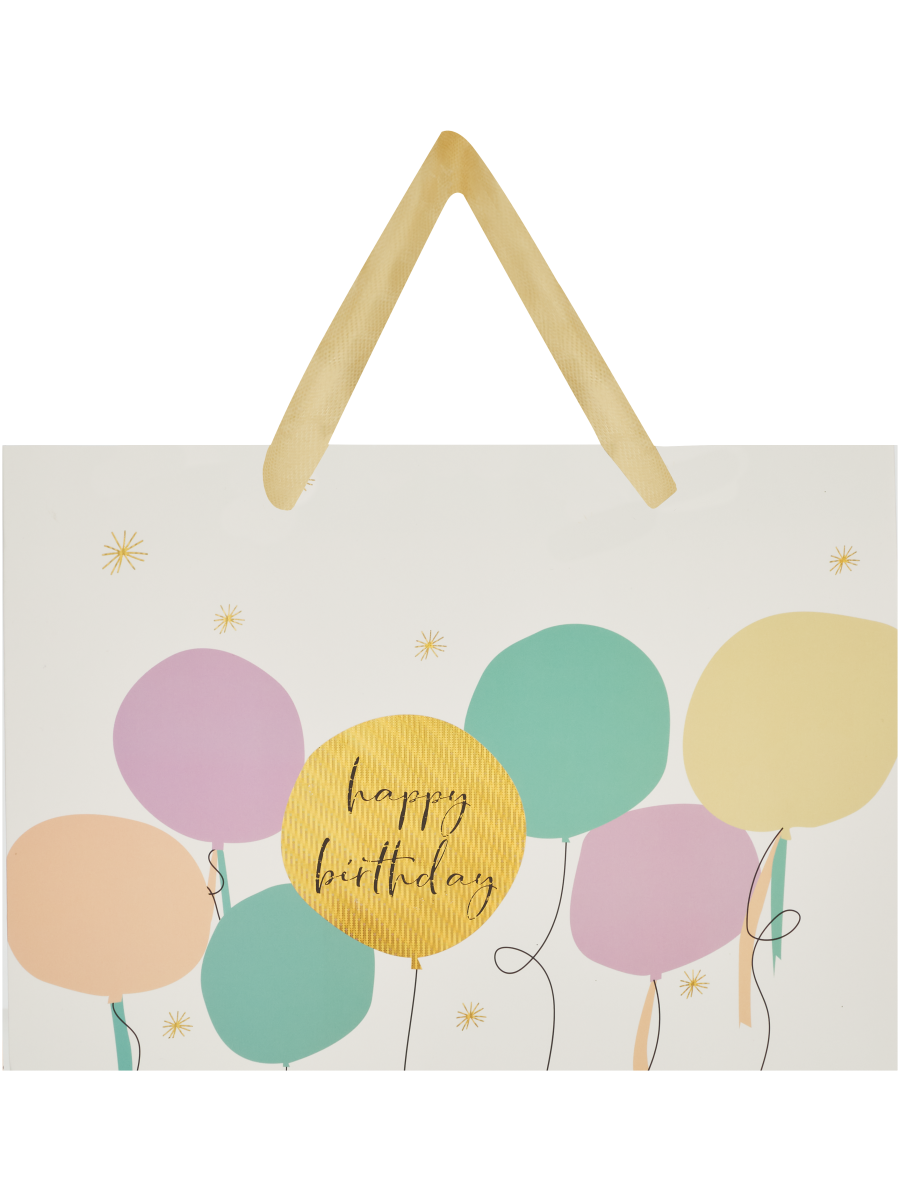 Fancy Medium Gift Bag (Design/Colour may vary)