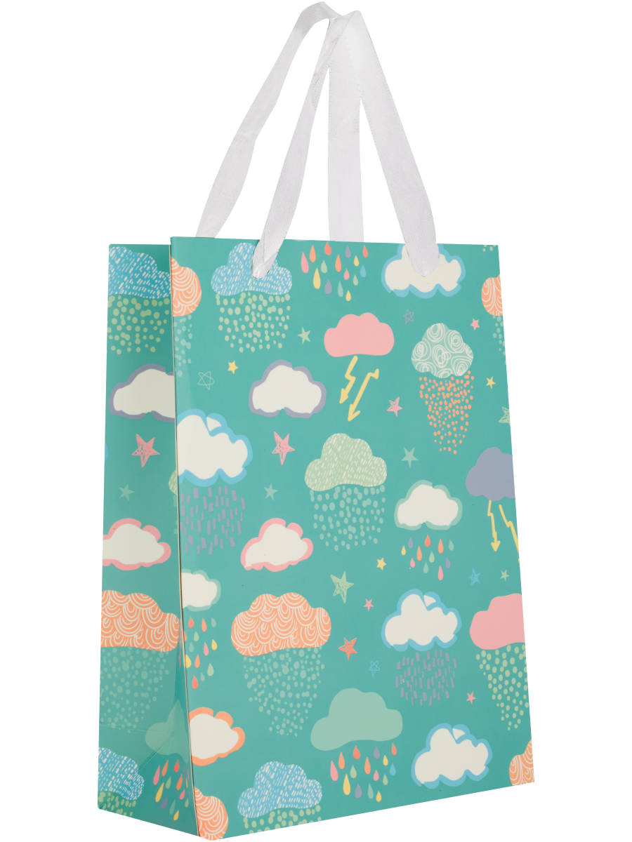 Skate Or Storm Clouds Gift Bag (5)