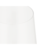 Champagne Glass (1)