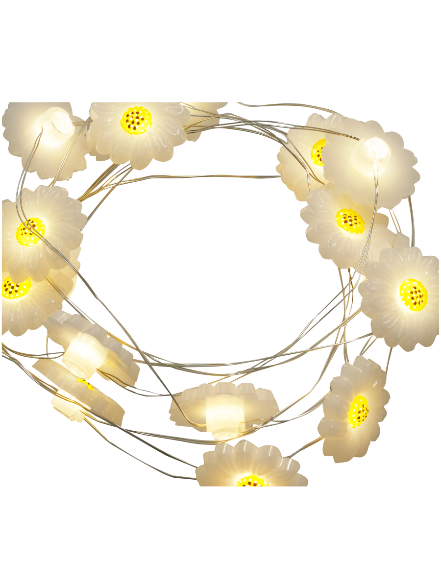 Daisy String Lights