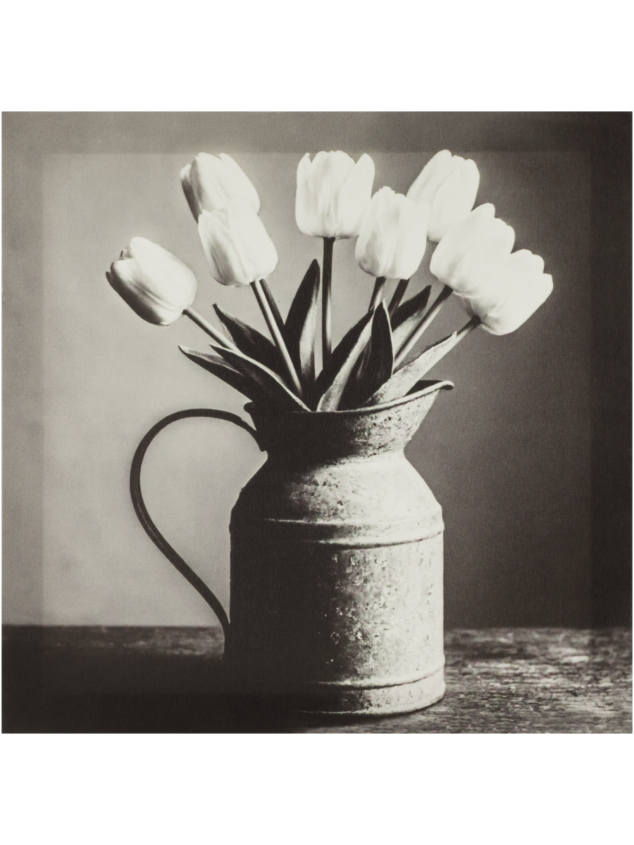 Black and Blue Tulip Canvas
