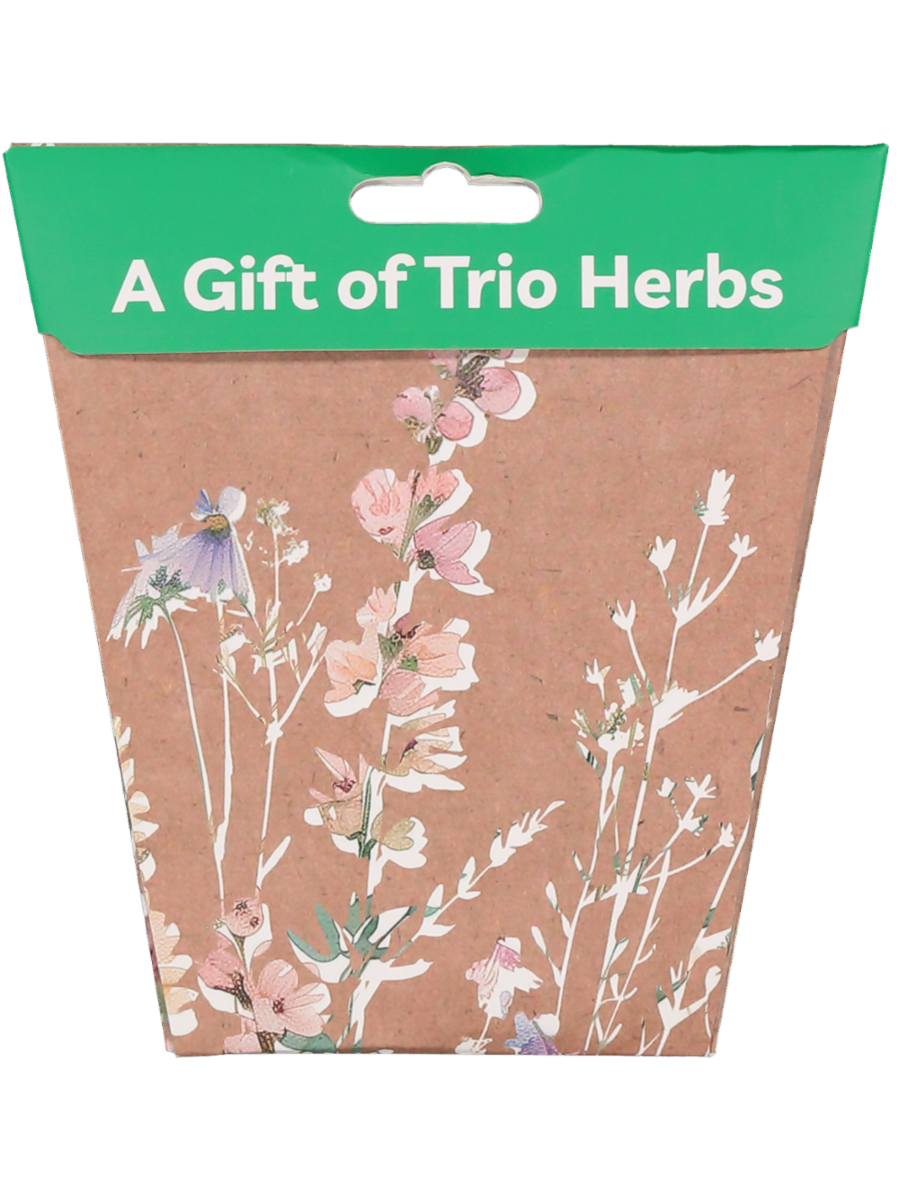 A Gift Of Trio Herbs