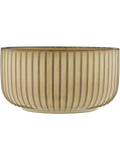Striped Glass Bowl