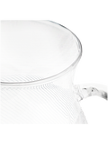 Glass Jug (1)