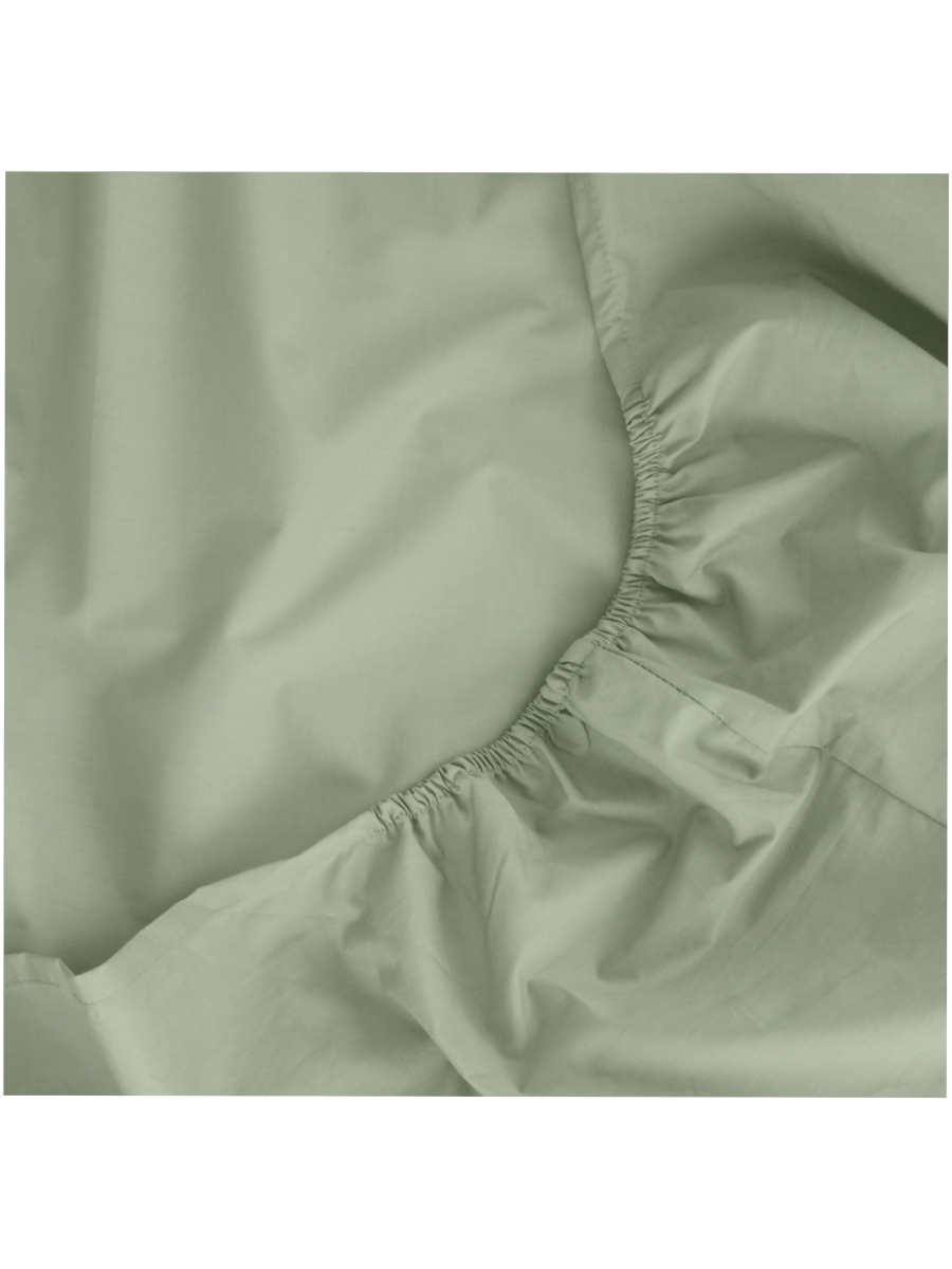 Cotton Rich Percale Fitted Sheet Queen