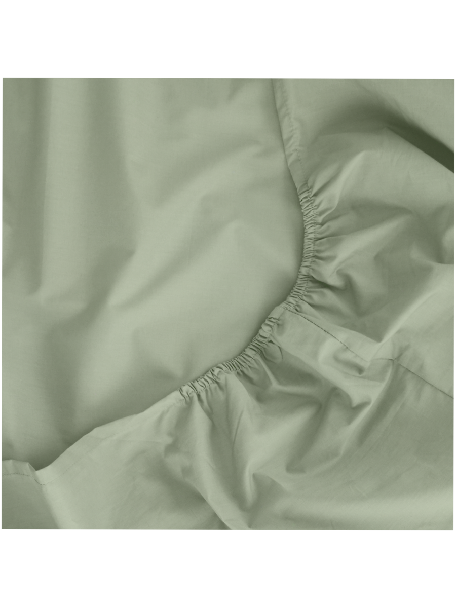 Cotton Rich Percale Extra Length Fitted Sheet Queen