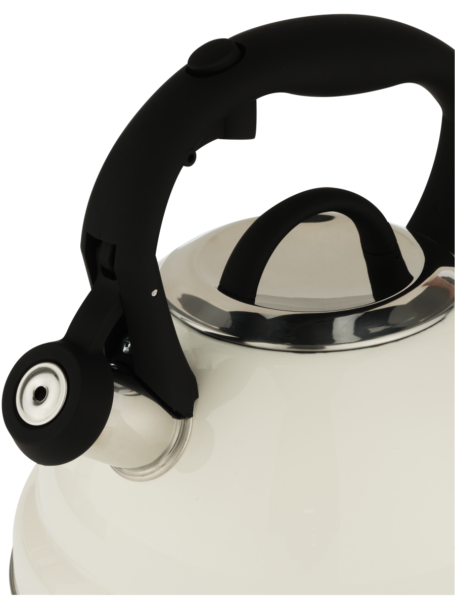 2.7L Stainless Steel Stovetop Kettle