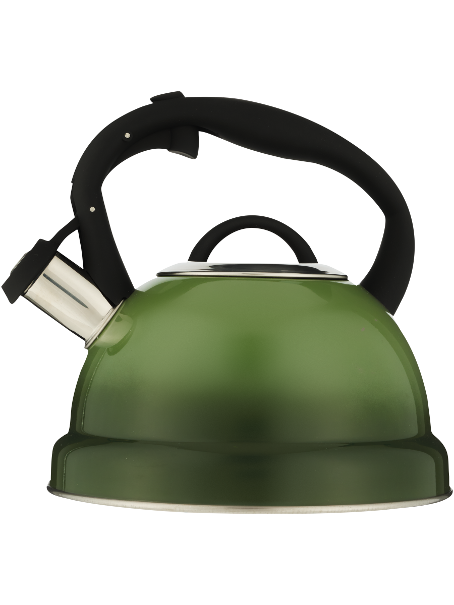 2.7L Stainless Steel Stovetop Kettle
